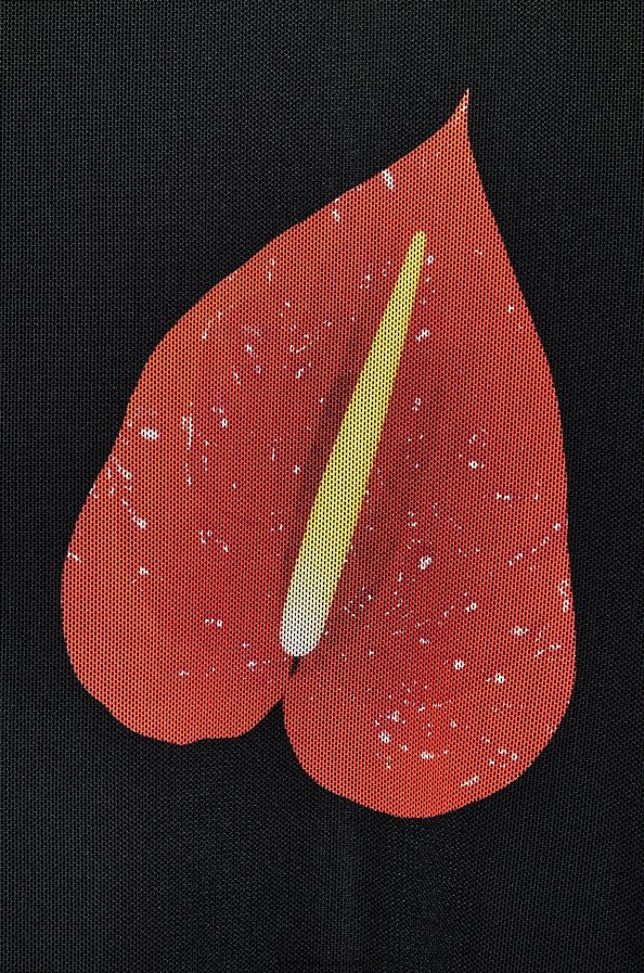 Loewe moterys Anthurium viršus iš pusiau permatomo tinklelio juoda/raudona BZ26XN882