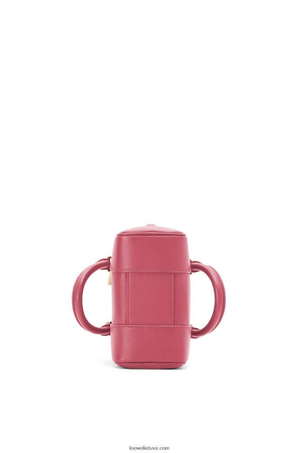 Loewe moterys amazona 16 kvadratų maišelis iš Nappa veršiuko odos slyva BZ26XN159