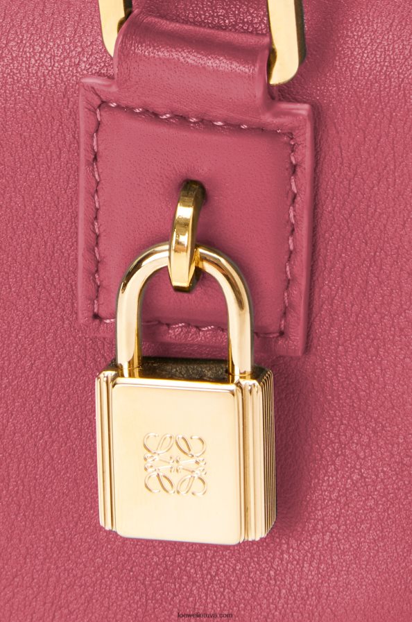 Loewe moterys amazona 16 kvadratų maišelis iš Nappa veršiuko odos slyva BZ26XN159