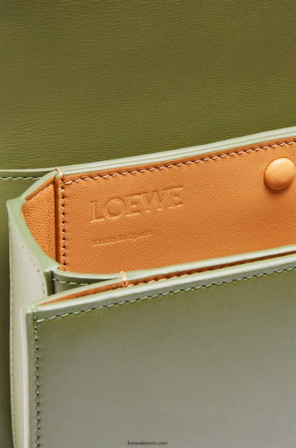 Loewe moterys mažas gojos krepšys iš šilkinės veršio odos avokado žalia BZ26XN307