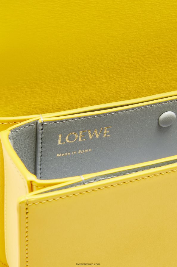 Loewe moterys mažas gojos krepšys iš šilkinės veršio odos geltona BZ26XN304