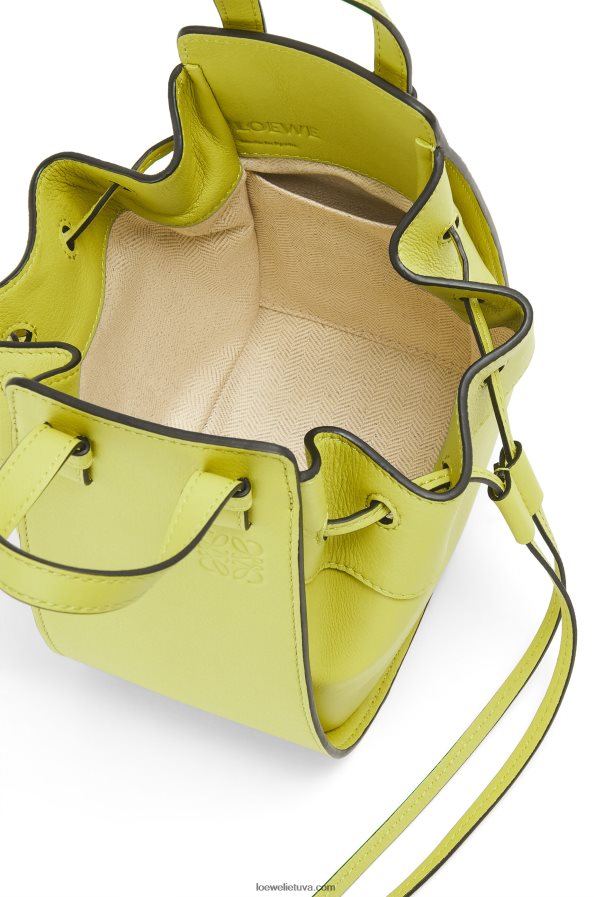 Loewe moterys mini hamako virvelė iš klasikinės blauzdos odos kalkių geltonumo BZ26XN297