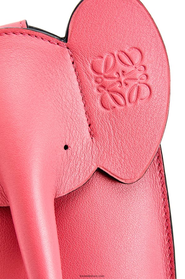 Loewe moterys dramblio kišenė iš klasikinės blauzdos odos naujų saldainių BZ26XN615