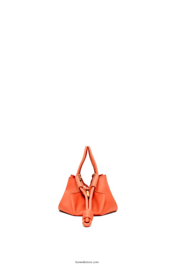 Loewe moterys mažas paseo krepšys iš blizgios nappa veršiuko odos saulėtekio oranžinė BZ26XN349
