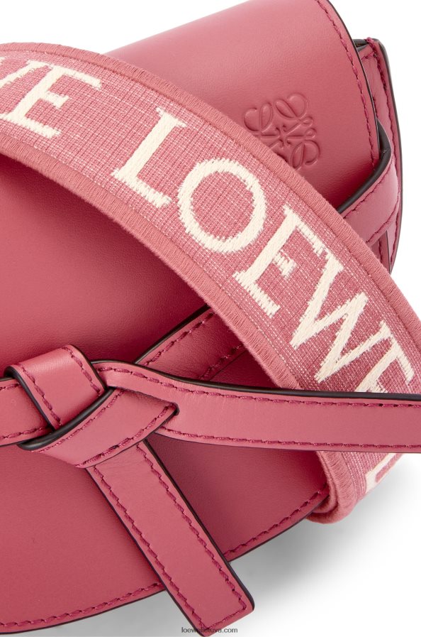 Loewe moterys mini gate dvigubas maišelis iš minkštos veršio odos ir žakardo slyva BZ26XN265