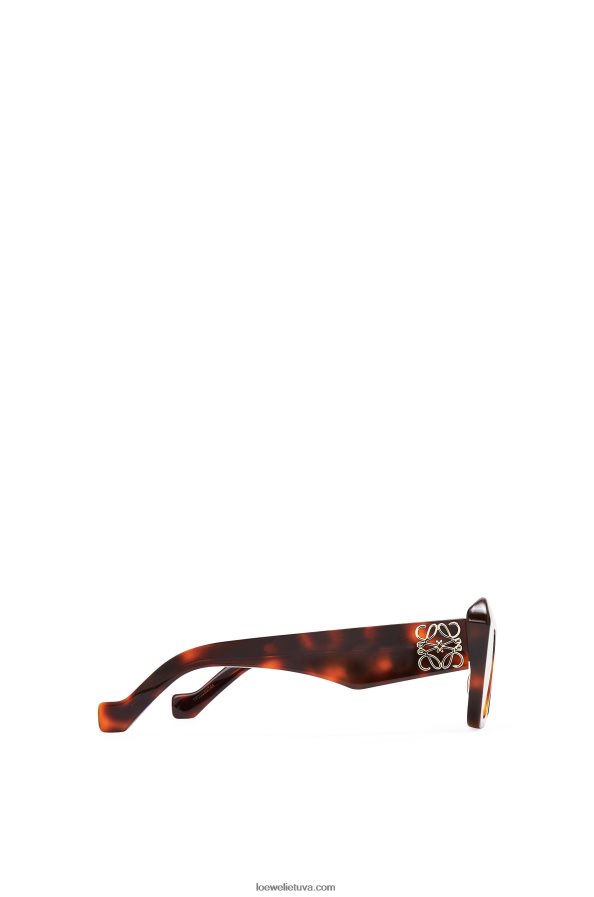 Loewe moterys acetato katės akių akiniai nuo saulės ruda havana BZ26XN1480
