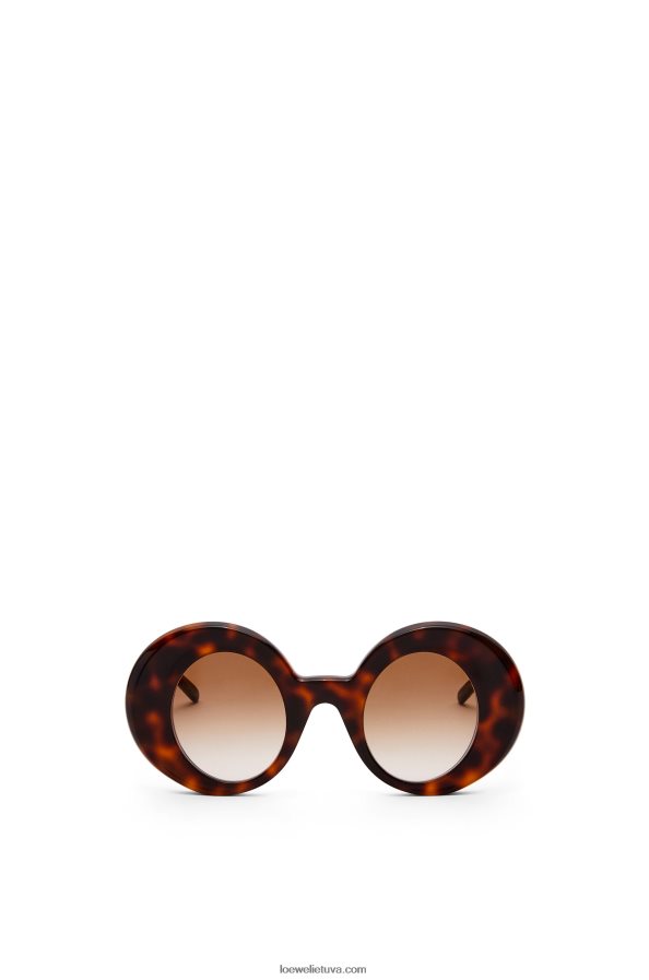 Loewe moterys dideli apvalūs acetato akiniai nuo saulės havana BZ26XN1492