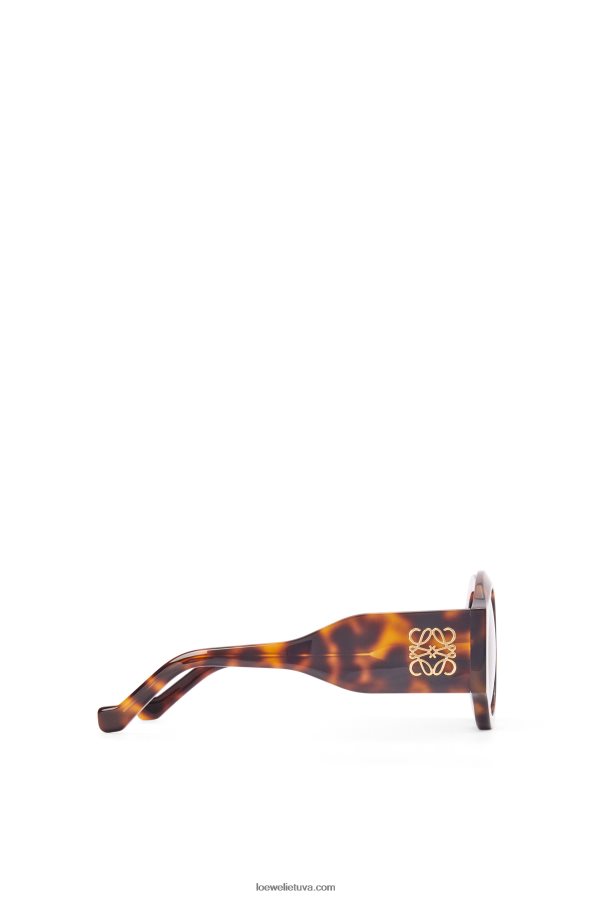 Loewe moterys lenkti akiniai nuo saulės acetato blizganti klasikinė havana BZ26XN1444